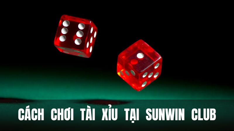 Hướng dẫn chơi Tài Xỉu tại Sunwin Club chi tiết cho tân thủ