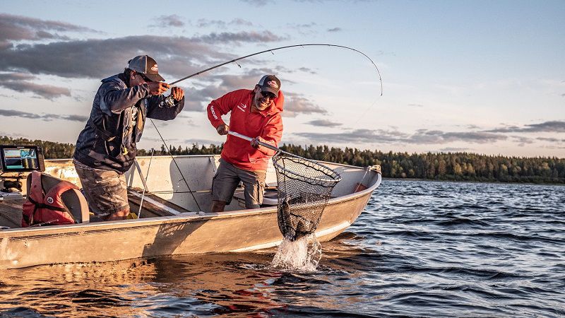 Nằm mơ thấy câu được cá to trong các trường hợp