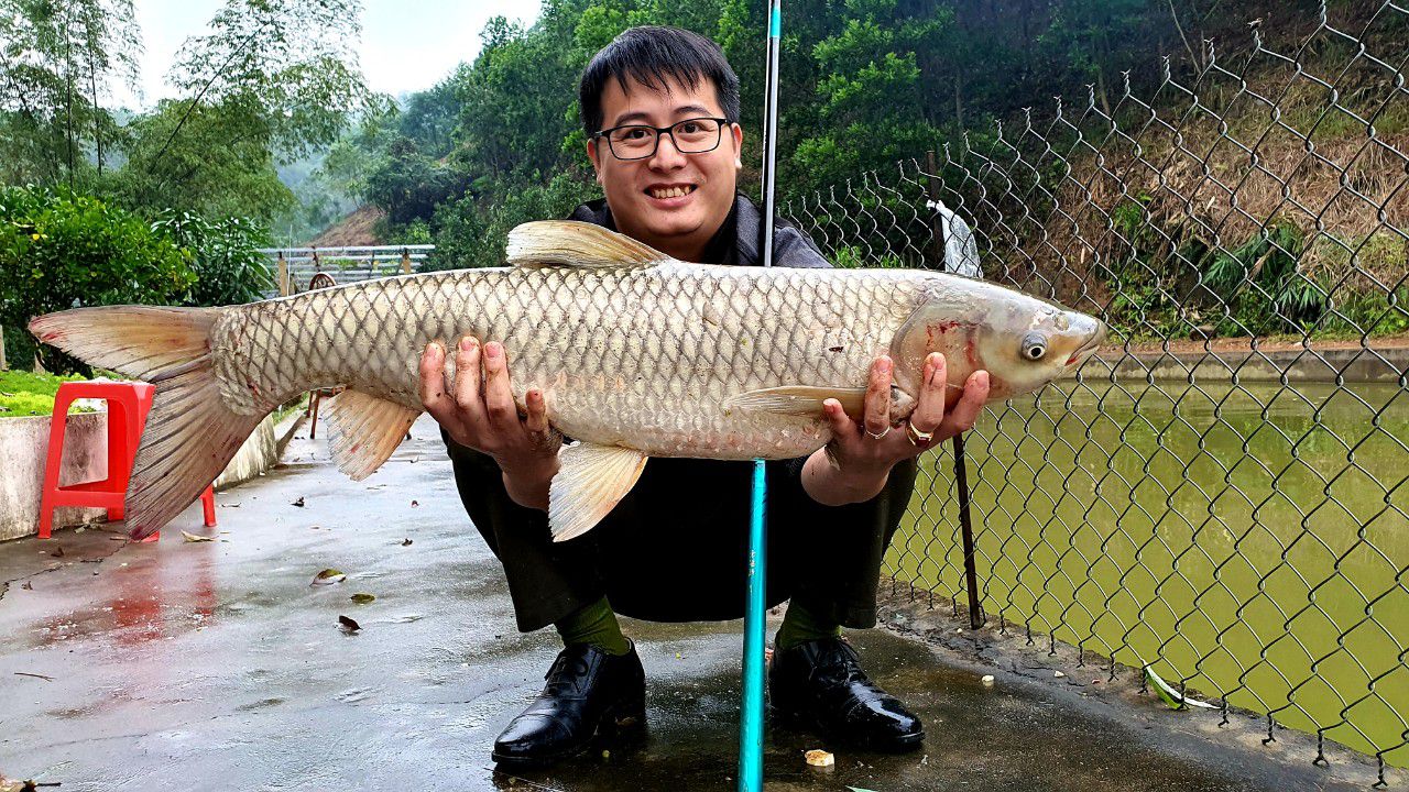 Tại sao nhiều người quan tâm đến việc giải mã giấc mơ câu cá?